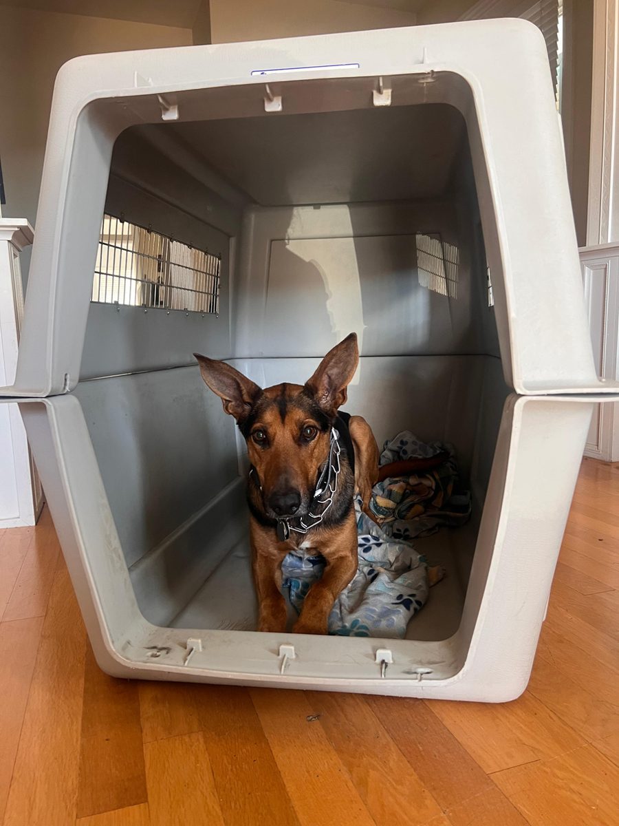 A crate with no ventilation on the back — it has to be drilled before it can fly