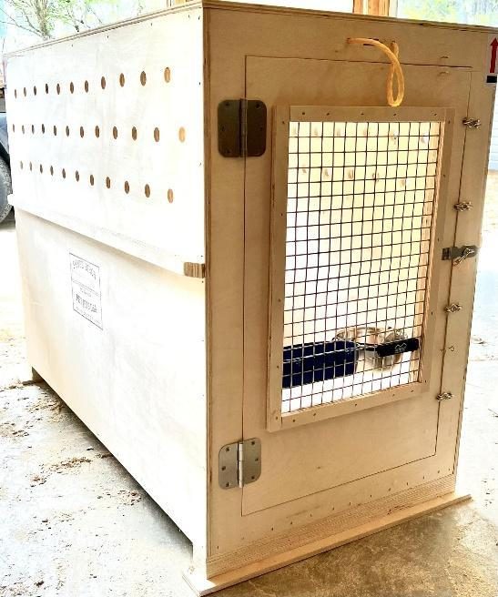 A custom-built wooden crate with a mesh door and ventilation holes