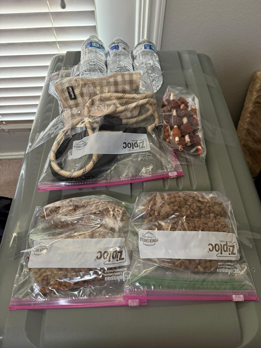 Food, leash and collar in taped zip-lock bags on top of the crate