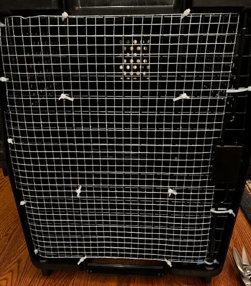 Metal mesh bolted over the crate door