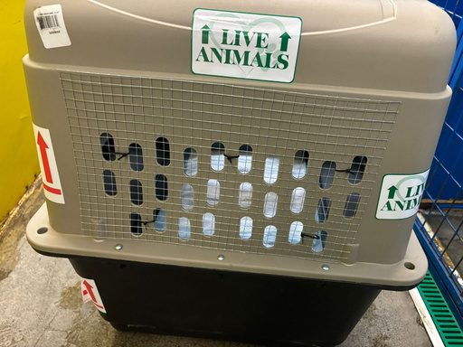 A crate labelled with Live Animals stickers and This Way Up arrows
