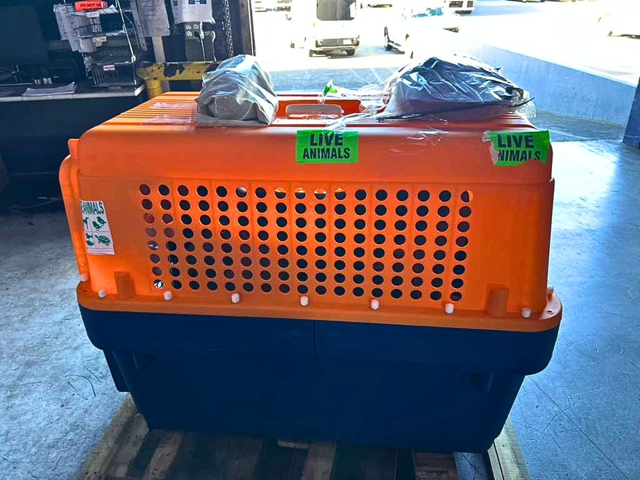 A Pet-Express crate, labelled and ready at the airline cargo warehouse